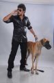 Actor Tanish in Devadas Style Marchadu Movie Stills