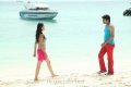 Srikanth, Vidisha in Devaraya Movie Stills