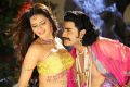 Srikanth, Meenakshi Dixit in Devaraya Telugu Movie Stills