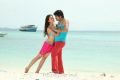 Srikanth, Vidisha in Devaraya Telugu Movie Stills