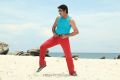 Devaraya Movie Srikanth Photos