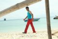 Devaraya Movie Srikanth Stills