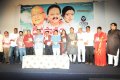 Devastanam Movie Audio Release Pictures