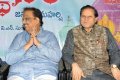 Devastanam Movie Audio Release Pictures