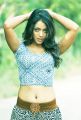 Actress Deviyani Sharma Hot Photo Shoot Pics