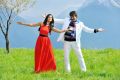 Ravi Teja, Ileana in Devudu Chesina Manushulu Stills