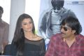 Gabriela Bertante, Ravi Teja at Devudu Chesina Manushulu Press Meet Stills