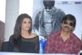 Gabriela Bertante, Ravi Teja at Devudu Chesina Manushulu Press Meet Stills