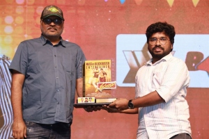 Dhamaka Movie 100 Crore Massive Festival Photos