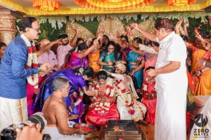 Dhananjayan daughter Harita Marriage Photos