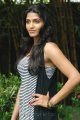 Dhanshika Cute Pictures