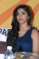 Dhanshika Hot Pics in Blue Dress