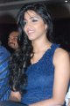 Dhanshika Hot Pics in Blue Dress