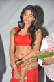 Tamil Actress Dhanshika Hot Spicy Stills