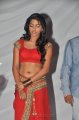 Tamil Actress Dhanshika Hot Spicy Stills