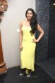 Tamil Actress Dhansika Hot Photos in Yellow Long Dress
