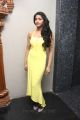 Tamil Actress Dhansika Hot Photos in Yellow Long Dress
