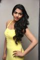 Tamil Actress Dhanshika Hot Photos in Yellow Long Dress