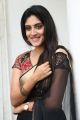 Actress Dhanya Balakrishna Saree Photos @ Software Sudheer Success Meet