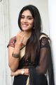 Actress Dhanya Balakrishna Saree Photos @ Software Sudheer Movie Success Meet