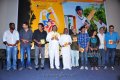 Dhoni Audio Release Stills