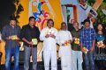 Dhoni Audio Release Stills