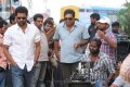 Prakash Raj Prabhu Deva at Dhoni Working Stills