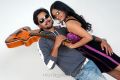 Dhool Telugu Movie Hot Stills