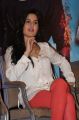 Actress Katrina Kaif @ Dhoom 3 Movie Promotions in Chennai Stills