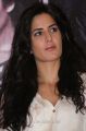 Actress Katrina Kaif @ Dhoom 3 Movie Promotions in Chennai Stills