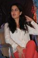 Actress Katrina Kaif @ Dhoom 3 Movie Promotions in Chennai Stills