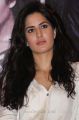 Actress Katrina Kaif @ Dhoom 3 Movie Promotions in Chennai Stills