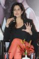 Katrina Kaif @ Dhoom 3 Movie Press Meet Stills in Hyderabad