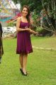 Love Touch Movie Actress Dhriti Hot Stills in Dark Pink Dress