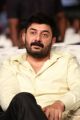 Arvind Swamy @ Dhruva Movie Pre-Release Function Images