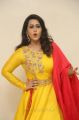 Indrasena Movie Actress Diana Champika Photos