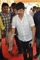 Boyapati Srinu @  Dictator Movie Opening Stills