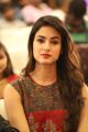 Actress Sonal Chauhan @ Dictator Movie Success Meet Stills