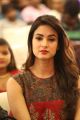 Actress Sonal Chauhan @ Dictator Movie Success Meet Stills