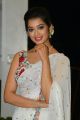 Hippi Movie Actress Digangana Suryavanshi White Saree Pics