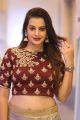 Diksha Panth Latest Stills @ Ego Audio Release