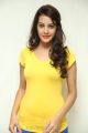 Actress Diksha Panth Pics in Light Yellow Top