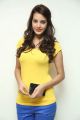 Actress Deeksha Panth Pics in Light Yellow Top