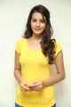 Actress Diksha Panth Pics in Light Yellow Top