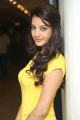 Actress Diksha Panth Pics in Light Yellow Top