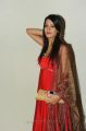 Actress Diksha Panth Latest Stills