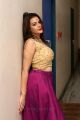 Actress Diksha Panth New Pics @ Operation 2019 Trailer Launch