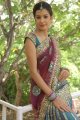 Diksha Panth Hot Saree Pics