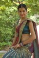 Diksha Panth Hot Saree Pics