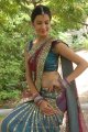 Diksha Panth Hot Saree Pics